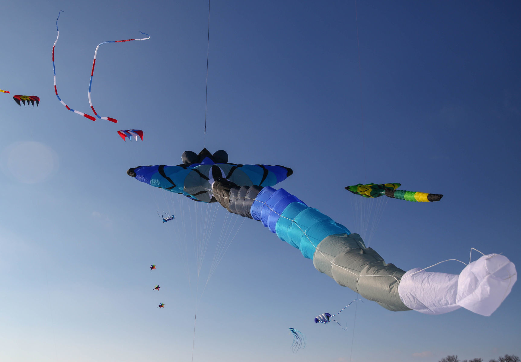 Color the Wind kite festival 02-15-2020 (69).jpg
